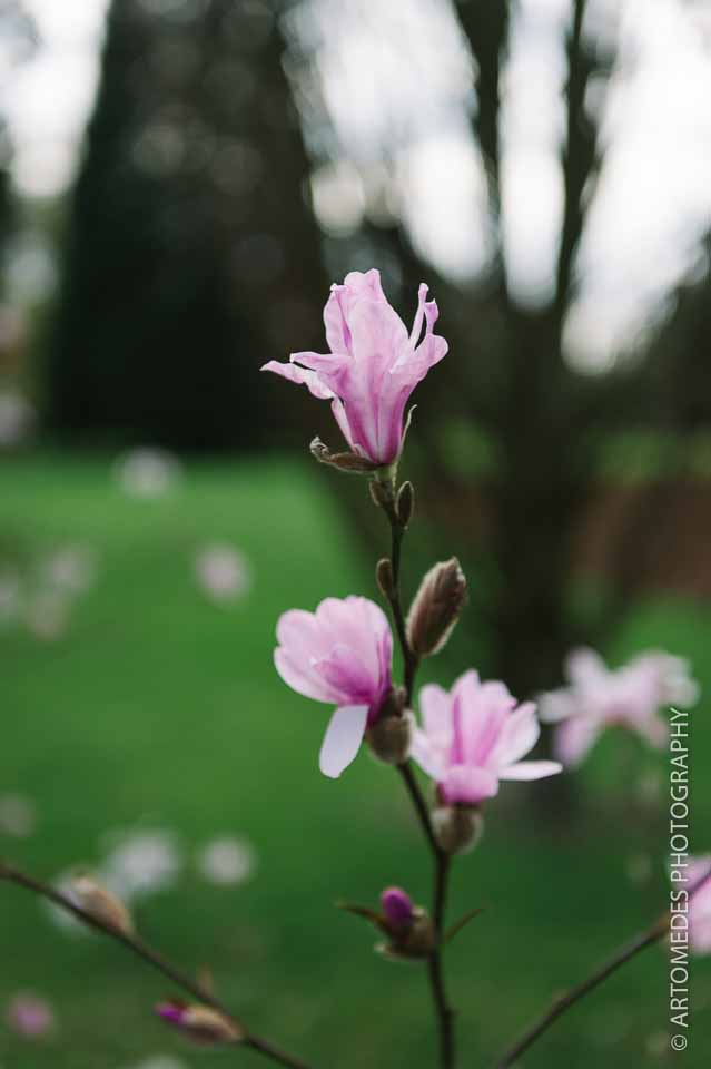 RICHARD & DANIELLE WEDDING DAY 2 17.05.14 (263 of 806)