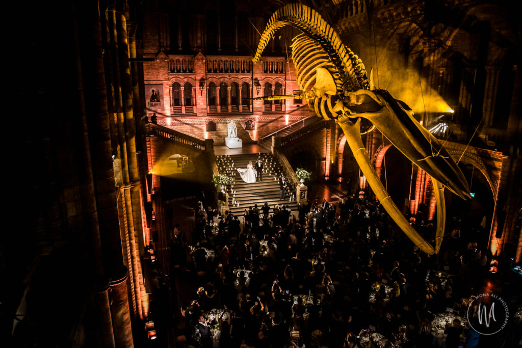bride and groom descending the Hintz staircase at the natural history museum to join their guests for dinner